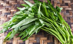 Loại rau chỉ cần cắm xuống đất là lớn 