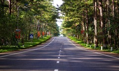 Những điều không thể bỏ lỡ khi đến Măng Đen