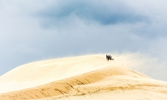 Những đồi cát đẹp hút hồn của du lịch Việt Nam