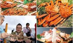 Loại cua được mệnh danh  "vua của các món ngon " mua đông, có con được bán giá bằng cả một chiếc ô tô