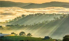 Kinh nghiệm phượt Bảo Lộc mùa mưa