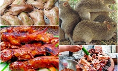  "Kỳ dị " chuột dừa Bến Tre: Món ăn khiến dân sành ăn  "phát cuồng ", người yếu tim  "bỏ chạy "!