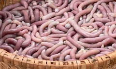 Kỳ lạ loại đặc sản khiến nhiều người  "ngượng chín mặt " khi nhìn, giá 7 triệu/kg vẫn  "tranh nhau mua "