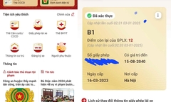 Cách kiểm tra điểm của giấy phép lái xe