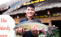 Loài cá lớn chậm rì rì là  "ngũ quý hà thủy " nổi tiếng ở Hà Giang, thịt ngọt lịm khiến giới sành ăn phát cuồng