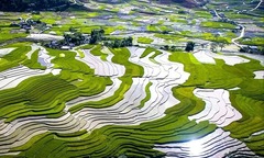 Quyến rũ Sa Pa mùa nước đổ