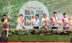 Vườn quốc gia Tràm Chim tiếp nhận 6 cá thể sếu đầu đỏ từ Thái Lan