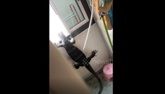 Clip: Tiếng động lạ phát ra trong nhà, người đàn ông toát mồ hôi khi thấy cảnh trước mắt