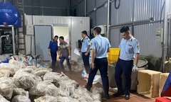 Hà Nội: Phát hiện gần 11 tấn thịt và nội tạng bò hôi thối, bốc mùi tại một cơ sở kinh doanh