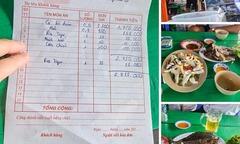 Thông tin mới nhất vụ nhà hàng bị tố bán cá bò hòm 3,5 triệu đồng/kg ở Nha Trang
