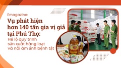 Vụ phát hiện hơn 140 tấn gia vị giả tại Phú Thọ: Hé lộ quy trình sản xuất hàng loạt và nỗi ám ảnh bệnh tật