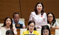 ĐBQH nói về  "kẽ hở " để gần 600 loại sữa giả tuồn ra thị trường và nêu đề xuất