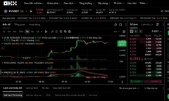 Lý do gì khiến Pi Network tăng giá hơn 23% trong 7 ngày qua?