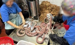 Phát hiện cơ sở kinh doanh lòng dồi không đảm bảo vệ sinh an toàn thực phẩm ở Hạ Long