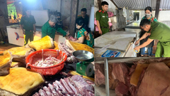 Tiêu hủy gần 800kg thịt heo ôi thiu, nhiễm dịch tả lợn châu Phi 