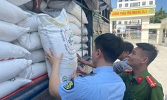 Phát hiện 3 tấn đường cát nhập lậu, 600kg măng không rõ nguồn gốc ở Nghệ An