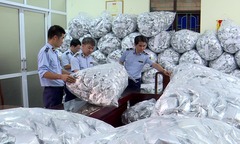 Phát hiện kho chứa 40.000 gói rong biển trôi nổi ở Bắc Ninh