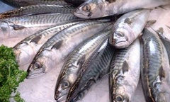 Dấu hiệu cá ướp urê