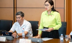 Đại biểu đề xuất tăng mức phạt vi phạm giao thông lên tối đa 200 triệu đồng