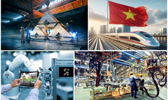 Chậm nhất đến 31/12/2025 phải hoàn thành việc rà soát, loại bỏ những quy định cản trở doanh nghiệp tư nhân phát triển