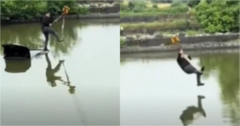Clip:  "Dở khóc dở cười " màn cứu hộ tài xế mắc kẹt trên nóc ô tô bị chìm giữa ao