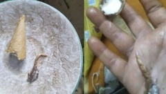 Đang ăn kem, người phụ nữ  "sởn gai ốc " khi phát hiện thứ  "đáng sợ " bên trong