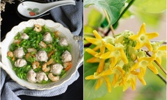 Canh hoa thiên lý giải nhiệt ngày hè