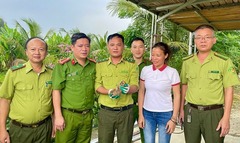 Động vật quý hiếm bất ngờ xuất hiện trong vườn nhà dân ở Hà Tĩnh