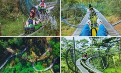 Các địa điểm du lịch Đà Lạt lý tưởng cho gia đình