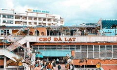 Khách sạn gần chợ Đà Lạt giá bình dân