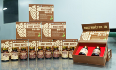 Hoạt Huyết BN-TĐ – Giải pháp từ thảo dược cho tuần hoàn máu não và giấc ngủ sâu