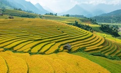 Vẻ đẹp quyến rũ miền sơn cước