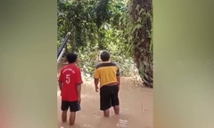 Đang nấu ăn, thai phụ 8 tháng bất ngờ bị cá sấu cắn tử vong
