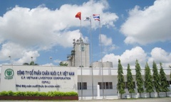 Dính  "lùm xùm " bị  "tố " bán thịt lợn bệnh, Công ty C.P Việt Nam đang  kinh doanh ra sao?