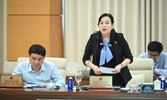 ĐBQH lo lắng khi táo để cả tháng không hỏng, ruồi nhặng còn tránh xa