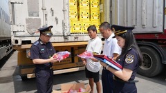 Hải quan phát hiện, bắt giữ hơn 1.200 vụ buôn lậu trong tháng 5/2025