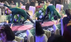 Mẹ chồng biểu diễn yoga ở đám cưới con trai, khách mời  "đỏ mặt " vì cảnh tượng khó xử