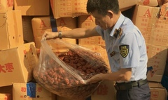 Hà Nội: Phát hiện hơn 4 tấn táo đỏ khô nhập lậu