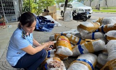 Đà Nẵng: Phát hiện 700kg mực khô vô chủ mốc xanh, bốc mùi trên vỉa hè