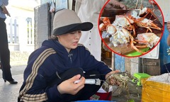 Phát hiện cơ sở ở Phú Yên thu mua tôm hùm chết, bơm tạp chất  "thạch rau câu " giữ tươi rồi đem bán