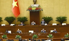 Ngày 12/6, Quốc hội biểu quyết thông qua Nghị quyết về việc sắp xếp đơn vị hành chính cấp tỉnh năm 2025