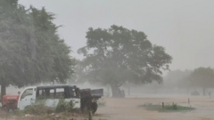 Đứng cạnh cây dừa trong cơn mưa giông, 4 học sinh không may bị sét đánh trúng