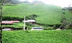 Thăm San Sả Hồ – “lãnh địa” của su su