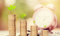 Làm gì với 300 triệu đồng nhàn rỗi?