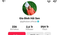 Chủ kênh TikTok  "Gia đình Hải Sen " bị bắt