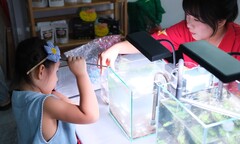 Cuộc thi VNAC 2025 với chủ đề “Mang thiên nhiên vào ngôi nhà của bạn” thu hút hàng trăm bạn trẻ, nghệ nhân đam mê thủy sinh