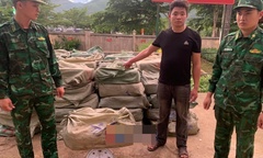 Bắt giữ gần 3 tấn nầm lợn đông lạnh không rõ nguồn gốc ở Quảng Ninh