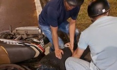 Nghi can sát hại nữ chủ tiệm tạp hóa, cướp tài sản bị bắt ở đâu?