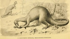 Loài người phát hiện ra dấu tích của khủng long từ khi nào?