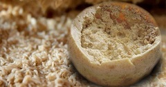 Sởn gai ốc với phô mai Casu Marzu, cả nghìn con giòi lúc nhúc bò bên trong, bạn có dám thử?